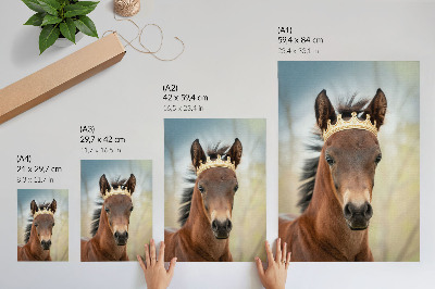 Poster Un cavallo con la corona su sfondo neutro