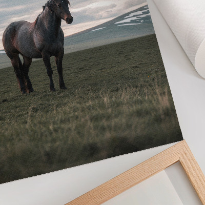 Stampa su tela Cavallo nel prato, nuvole, mattino, armonia della natura