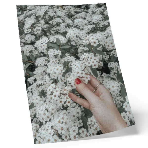 Stampa su tela fiori bianchi con mano verde e unghie rosse
