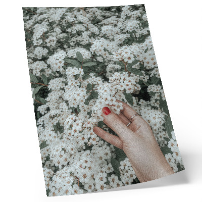 Stampa su tela Fiori bianchi, mano verde, unghie rosse
