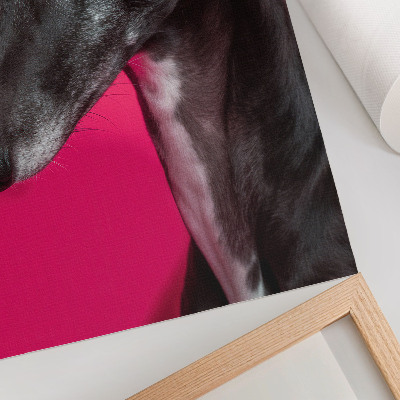 Stampa su tela Un cane bianco e nero su uno sfondo rosa intenso
