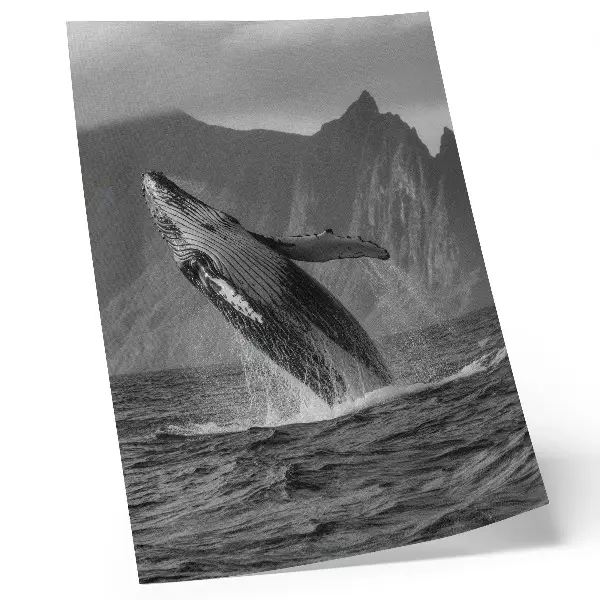 Stampa su tela balena che salta con montagne sullo sfondo