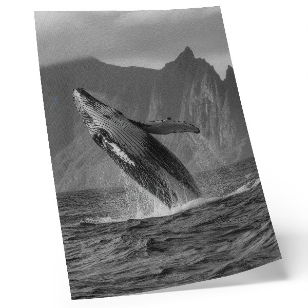 Stampa su tela Una foto di una balena che salta con le montagne sullo sfondo.