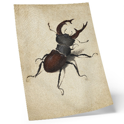 Foto su tela Il cervo volante di Albrecht Dürer (1505)