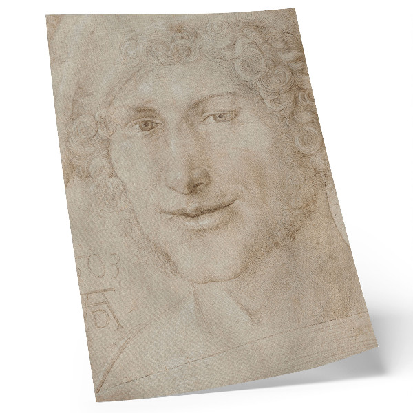 Poster Testa di giovane (1503) di Albrecht Dürer