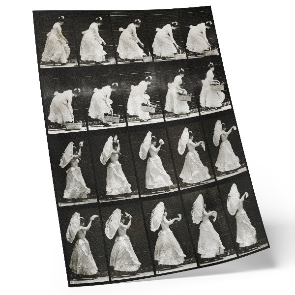 Stampa su tela Donna che solleva un cesto e agita un fazzoletto (1887) – fotografia di Eadweard Muybridge