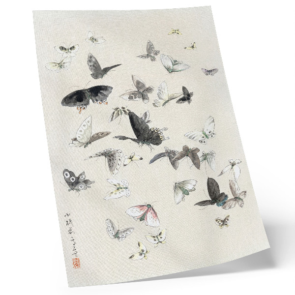 Stampa su tela Le farfalle e le falene di Hokusai