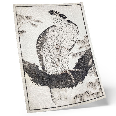 Stampa su tela Uccello dall'Album di schizzi (1814) di Katsushika Hokusai, xilografia giapponese d'epoca