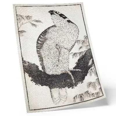Stampa su tela Uccello dall'Album di schizzi del 1814 di Katsushika Hokusai, xilografia giapponese d'epoca