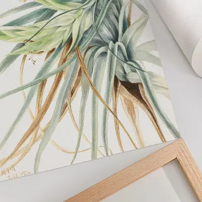 Poster ananas selvatico (Tillandsia fasciculata) del 1921 di Mary Vaux Walcott
