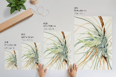 Poster Ananas selvatico (Tillandsia fasciculata) (1921) di Mary Vaux Walcott