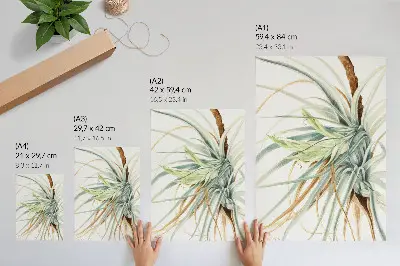 Poster ananas selvatico (Tillandsia fasciculata) del 1921 di Mary Vaux Walcott