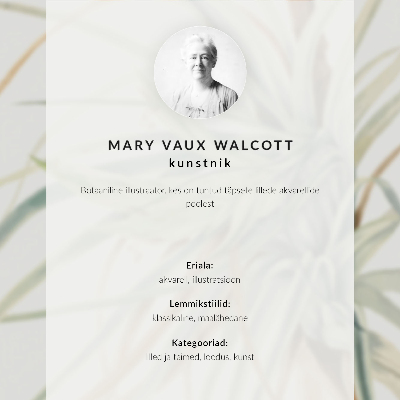 Poster Ananas selvatico (Tillandsia fasciculata) (1921) di Mary Vaux Walcott