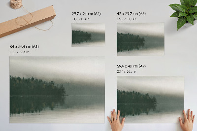 Poster Paesaggio boschivo nebbioso in riva al lago.