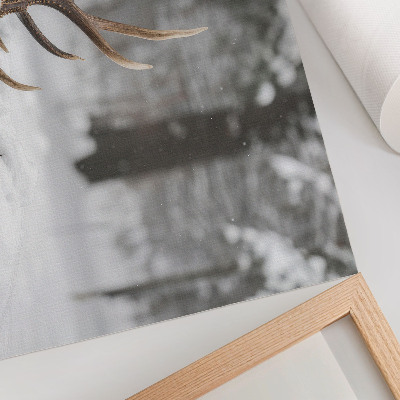 Poster dai colori saturi Corna nella neve, inverno, foresta, pace naturale