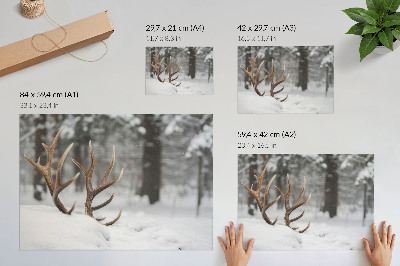 Poster dai colori saturi Corna nella neve, inverno, foresta, pace naturale