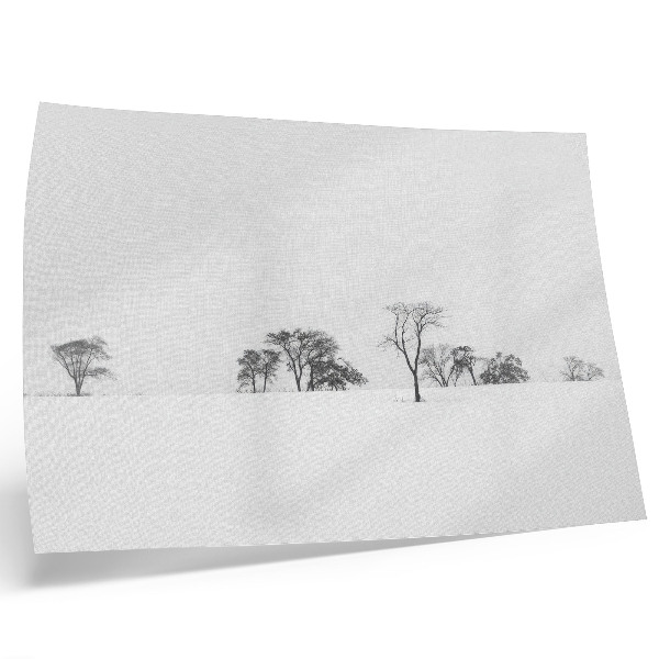 Stampa su tela moderna Paesaggio minimalista, alberi invernali, pace