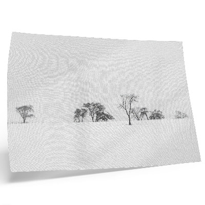 Stampa su tela moderna Paesaggio minimalista, alberi invernali, pace