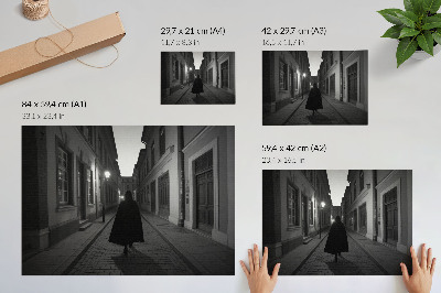 Poster Strada buia, figura misteriosa, atmosfera nostalgica