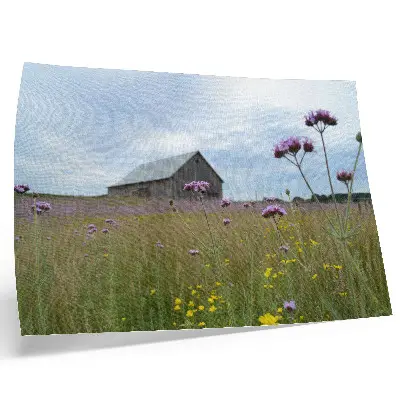 Poster fienile di campagna con prato di fiori viola e gialli dai colori saturi