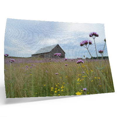 Poster dai colori saturi Fienile di campagna, prato di fiori viola e gialli
