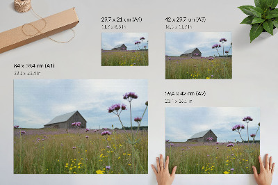 Poster dai colori saturi Fienile di campagna, prato di fiori viola e gialli