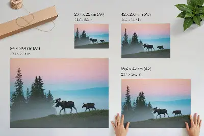 Poster murale di alta qualità alci al mattino con nebbia e alberi sullo sfondo