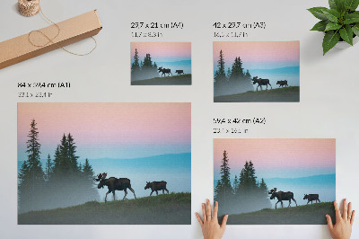 Poster murale di alta qualità Alci al mattino, sullo sfondo di nebbia e alberi.