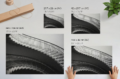 Poster murale di alta qualità Eleganza in bianco e nero, forme moderne