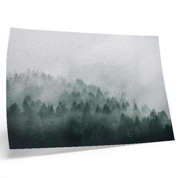 Stampa su tela moderna Foreste nebbiose che emanano pace e mistero