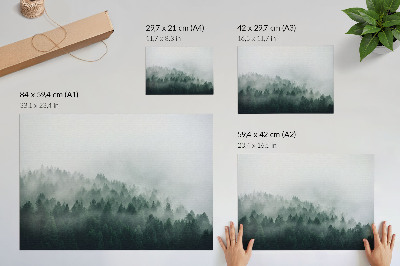 Stampa su tela moderna Foreste nebbiose che emanano pace e mistero