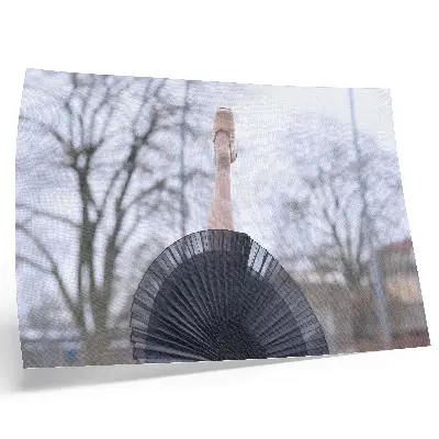 Stampa su tela moderna raffigurante balletto con delicatezza e armonia in un'atmosfera locale