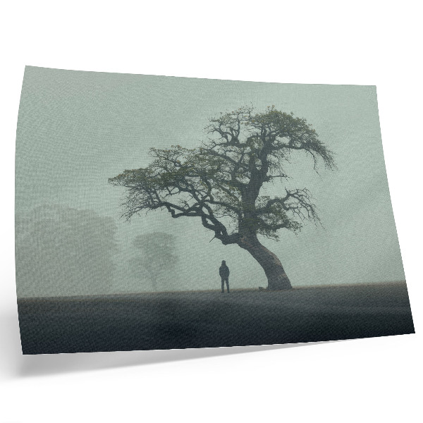 Poster Albero solitario nebbia silhouette scura atmosfera