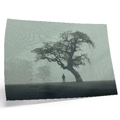 Poster albero solitario con silhouette scura in atmosfera nebbiosa