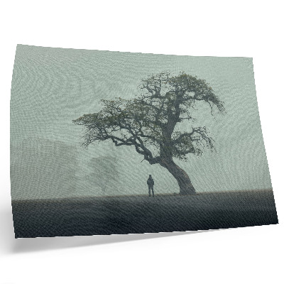 Poster Albero solitario nebbia silhouette scura atmosfera