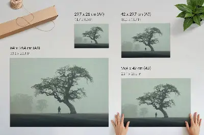 Poster albero solitario con silhouette scura in atmosfera nebbiosa