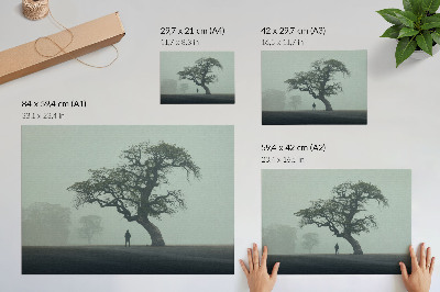 Poster Albero solitario nebbia silhouette scura atmosfera