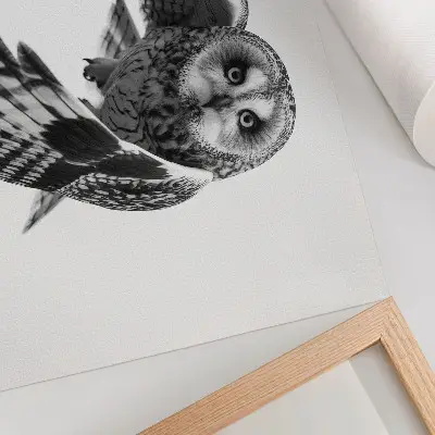 Poster murale di alta qualità ritratto di un gufo in volo con eleganza unica e atmosfera pacifica