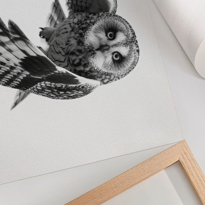 Poster murale di alta qualità Ritratto di un gufo in volo, eleganza unica, atmosfera pacifica