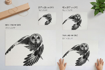 Poster murale di alta qualità Ritratto di un gufo in volo, eleganza unica, atmosfera pacifica