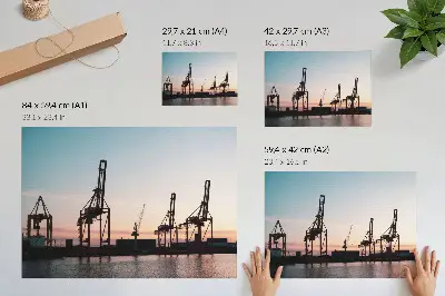 Poster murale di alta qualità raffigurante gru nel porto al tramonto