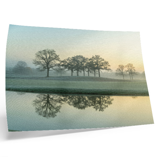 Poster dai colori saturi Superficie dell'acqua calma, riflesso degli alberi, leggera nebbia