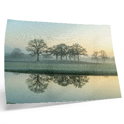 Poster dai colori saturi Superficie dell'acqua calma, riflesso degli alberi, leggera nebbia