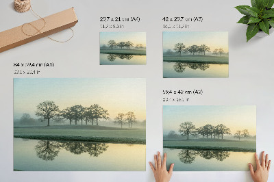 Poster dai colori saturi Superficie dell'acqua calma, riflesso degli alberi, leggera nebbia