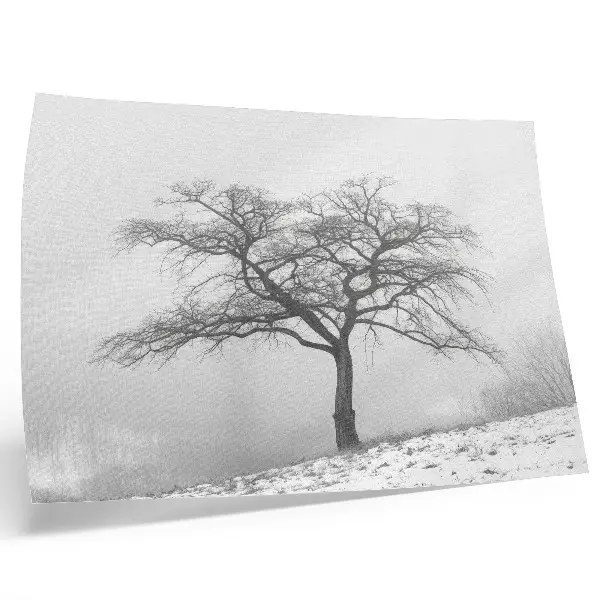 Poster murale di alta qualità albero solitario in inverno in stile minimalista