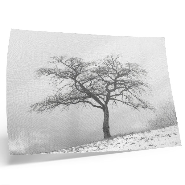 Poster murale di alta qualità albero solitario inverno pace minimalismo armonia