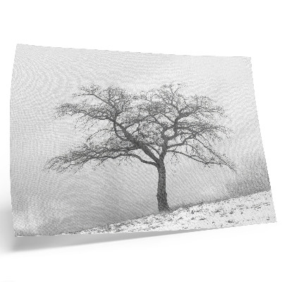 Poster murale di alta qualità albero solitario inverno pace minimalismo armonia