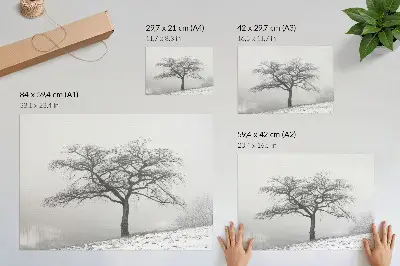 Poster murale di alta qualità albero solitario in inverno in stile minimalista