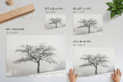 Poster murale di alta qualità albero solitario inverno pace minimalismo armonia