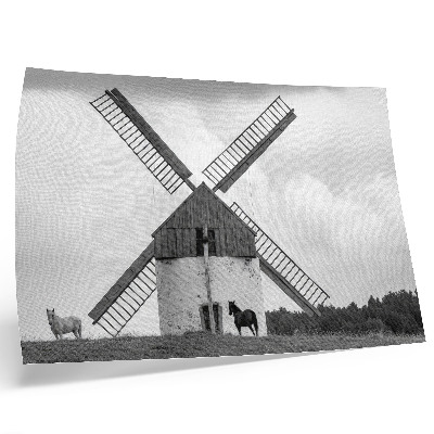 Poster dai colori saturi Un mulino a vento bianco e nero in un campo con dei cavalli